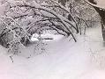 da candriai a vason-08-12-13